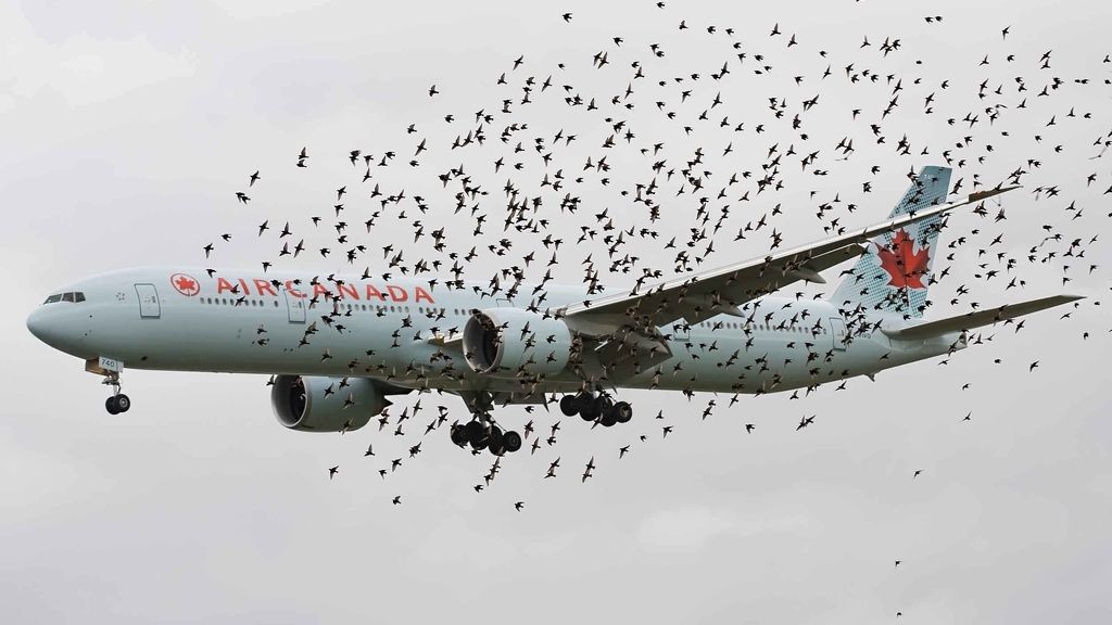 Una perspectiva única del mundo de la aviación