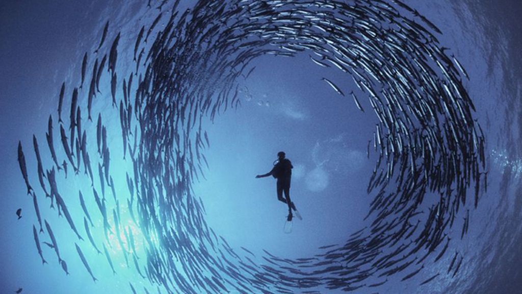 El buceador Dinah Halstead en Papúa Nueva Guinea