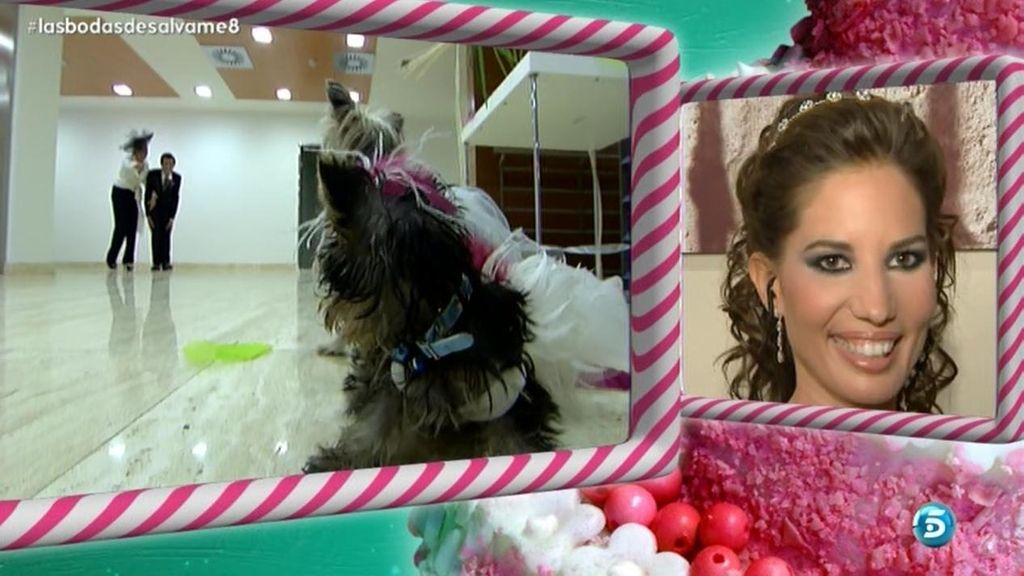 Ausencia de su familia