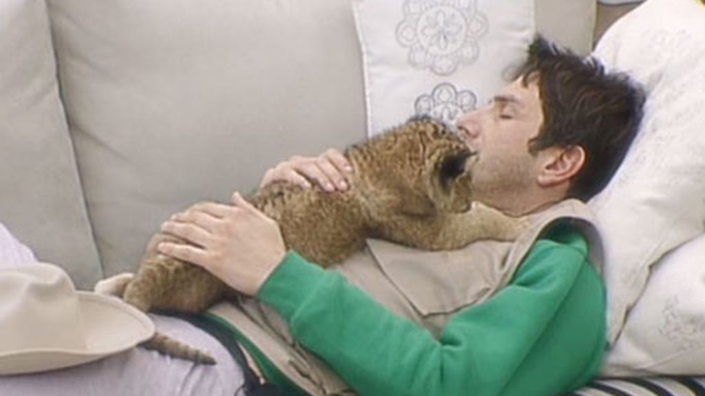 Más animaladas en Gran Hermano