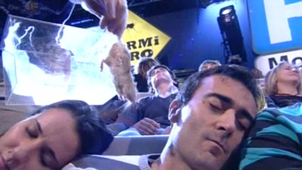 Ratas: Jandro sigue aprovechando la publicidad para vacilar al público