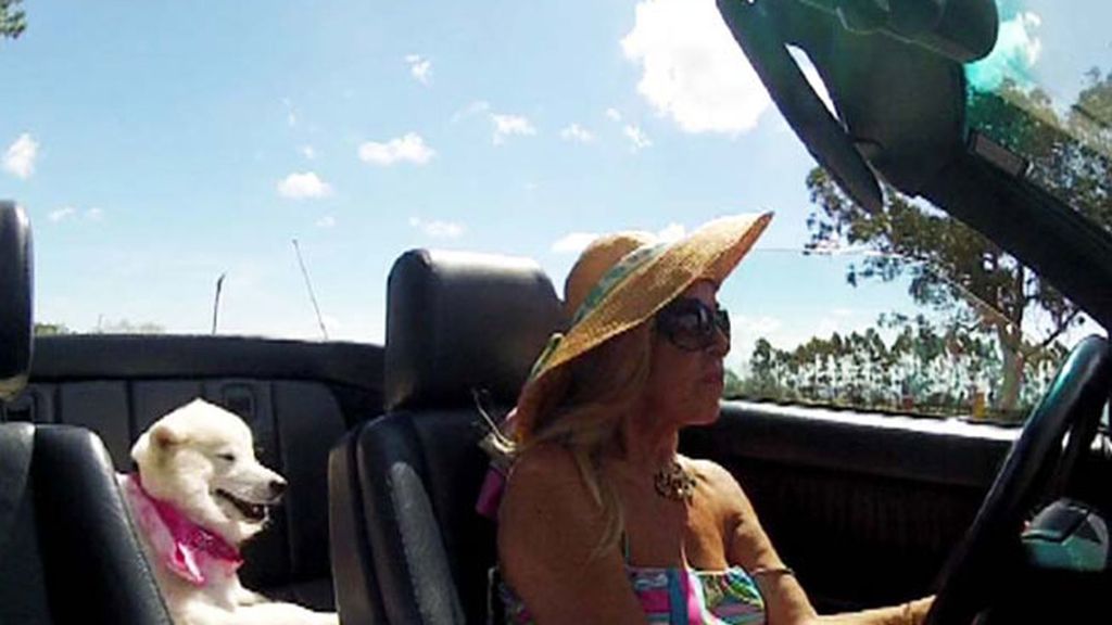 'Callejeros Viajeros' en Punta del Este