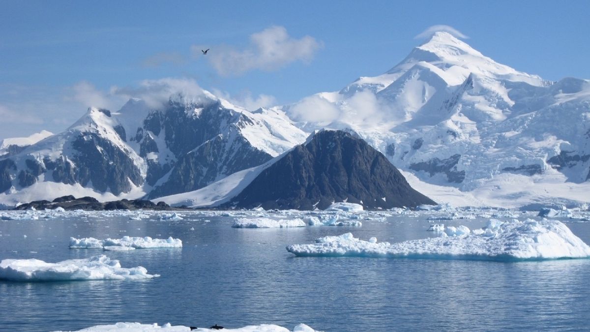 hielo antártico, glaciar, antártida