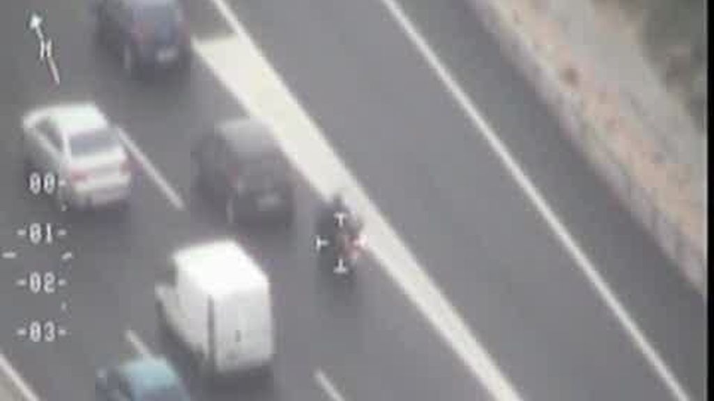 Criminólogos para kamikaces