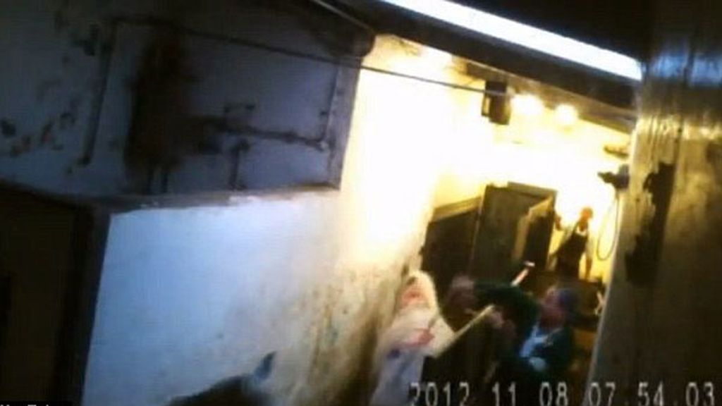 Caballos torturados en Chesire, Londres