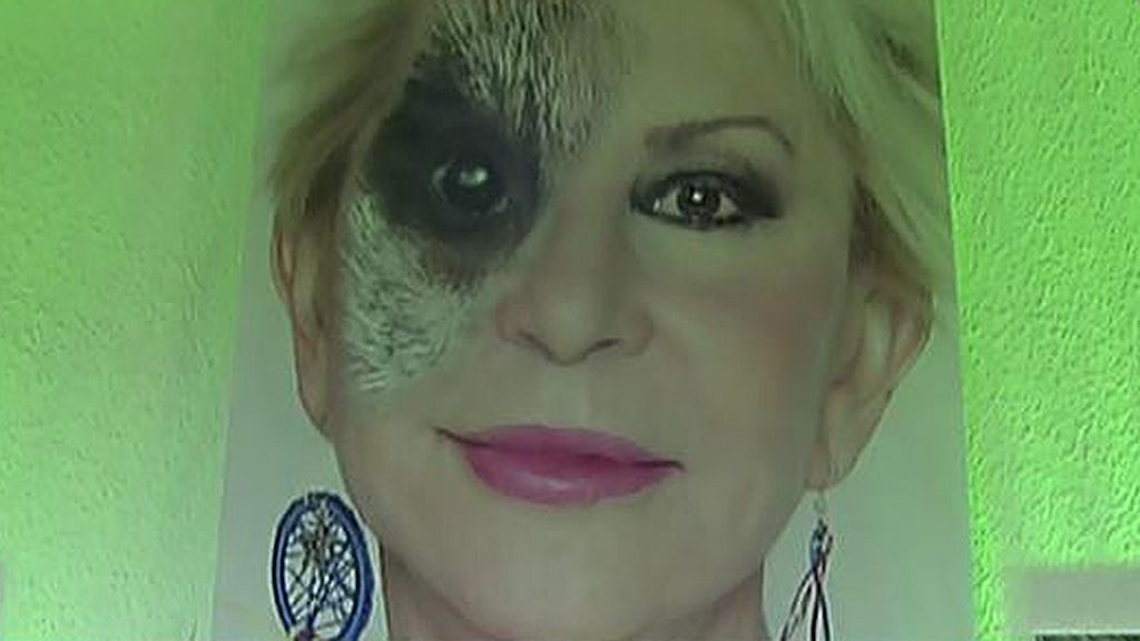 Leones, tigres, pumas, leopardos... La otra cara de los colaboradores