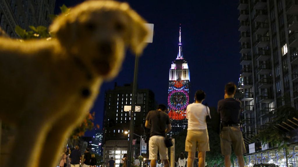 El león Cecil y otros animales, proyectados en el Empire State Building de Nueva York