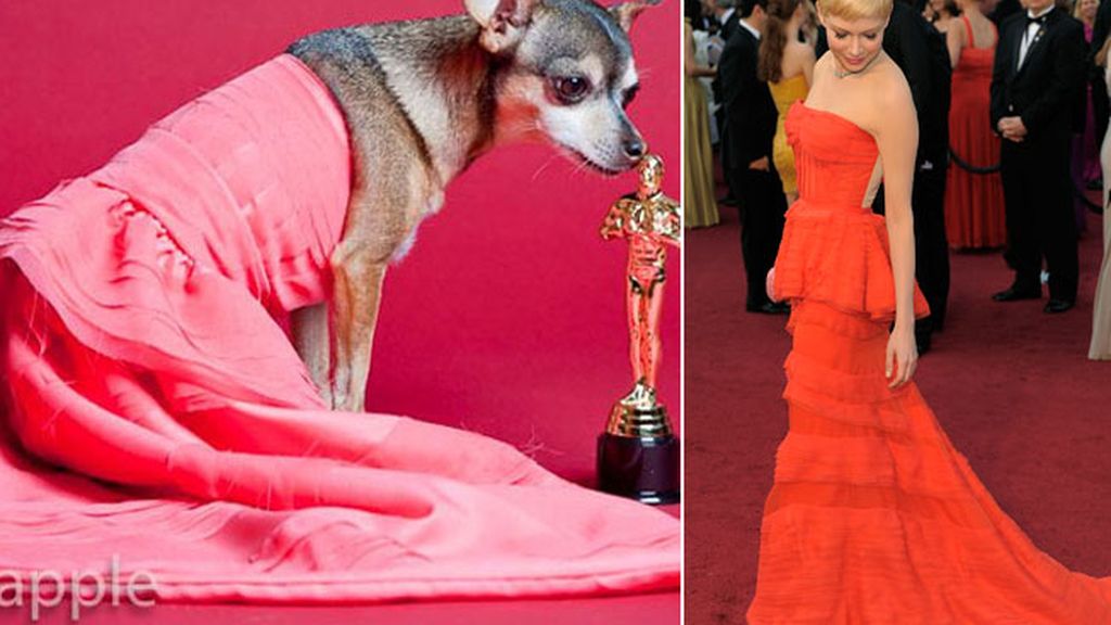 Vestidos de Oscar para tu mascota