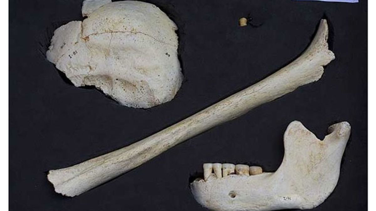 Restos de Homo Heidelbergensis hallados en Atapuerca