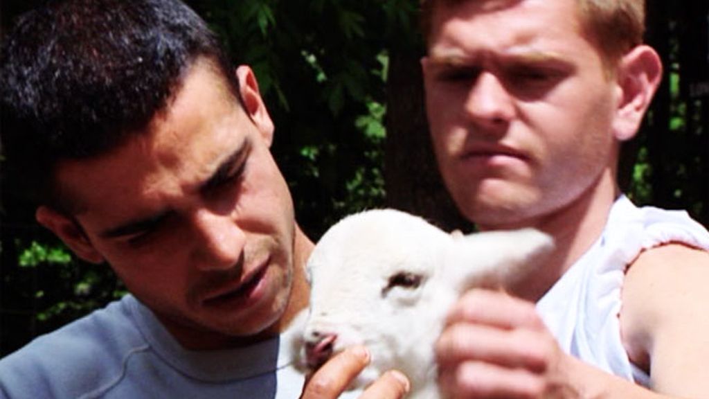 Jesús y Paco, en una granja