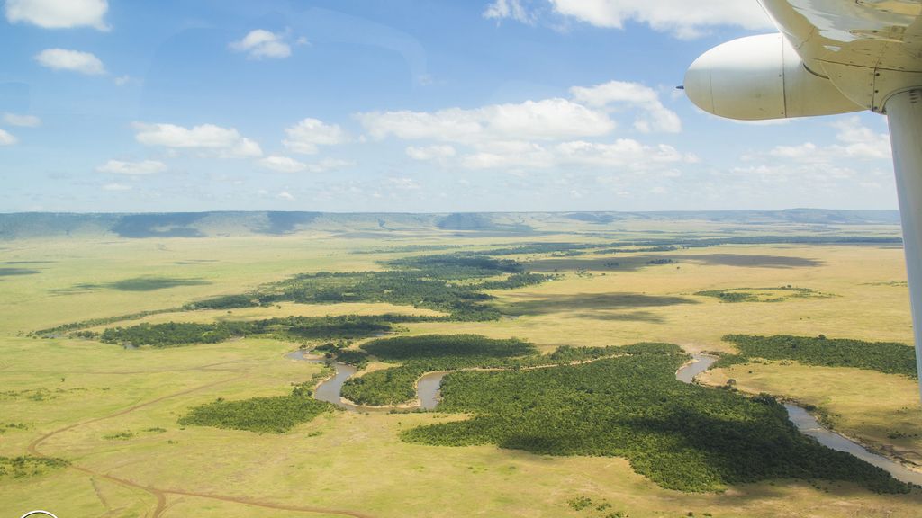 Masai Mara