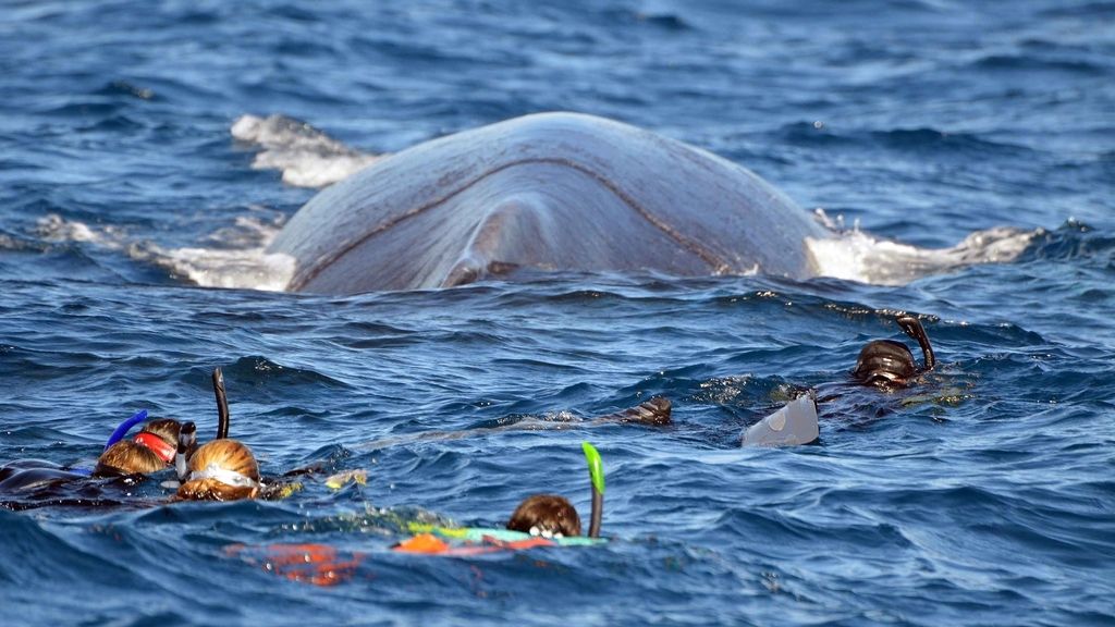 Increíbles fotos tomadas  en el Banco de la Plata en República Dominicana