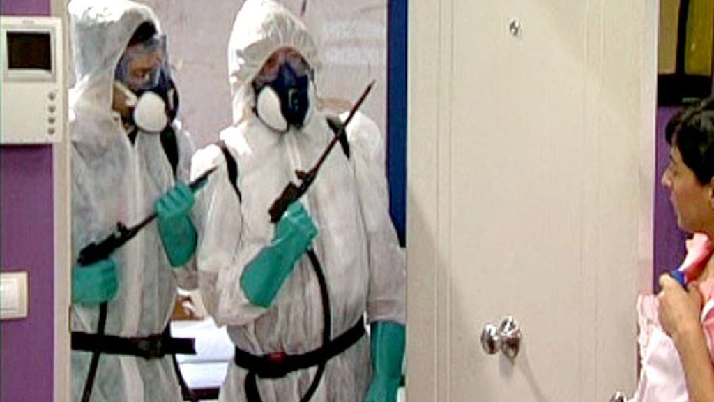 Una apuesta, quinientas cucarachas y una asistenta