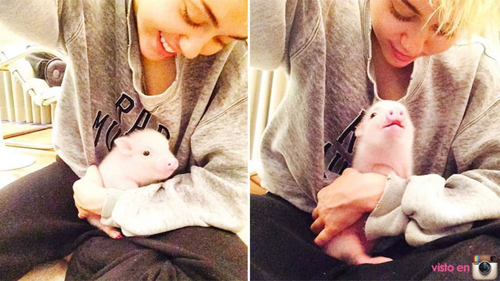 miley cyrus