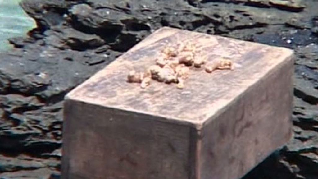 Estómago a prueba de bombas