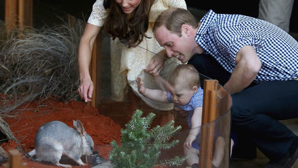 El príncipe George disfruta en el zoo de Sídney
