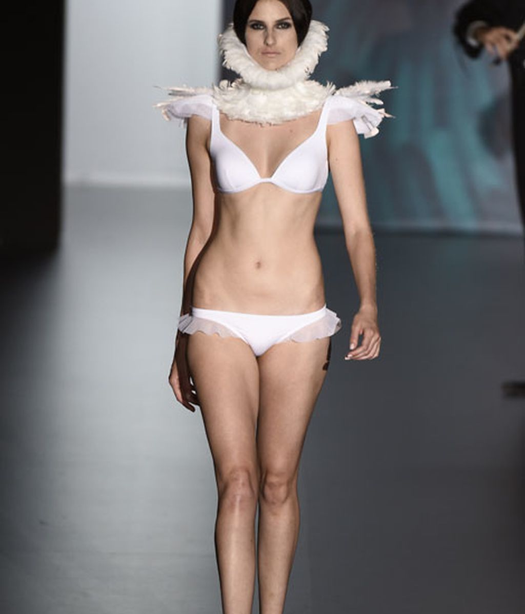 Un verano de plumas blancas y negras