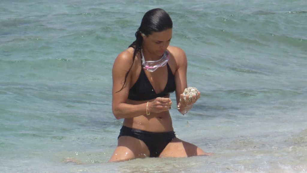 ¿Un erizo? ¿Una estrella de mar? ¿Un cangrejo?