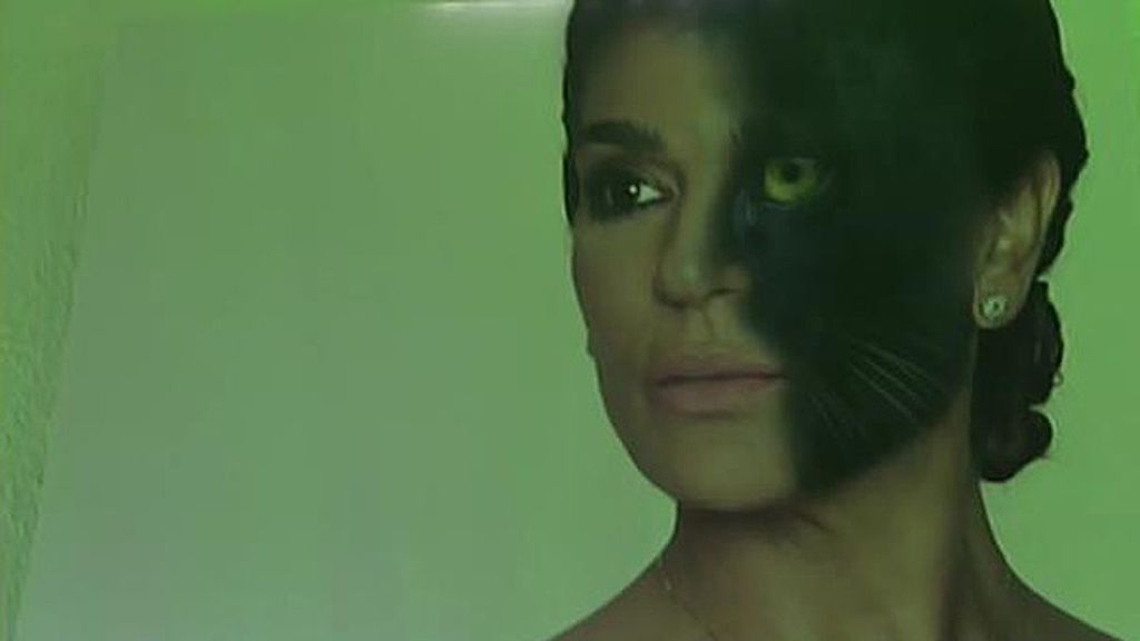 Leones, tigres, pumas, leopardos... La otra cara de los colaboradores