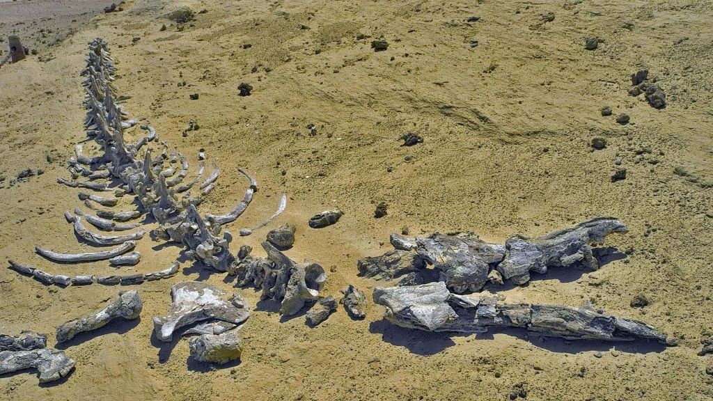 El valle de las ballenas... en Egipto