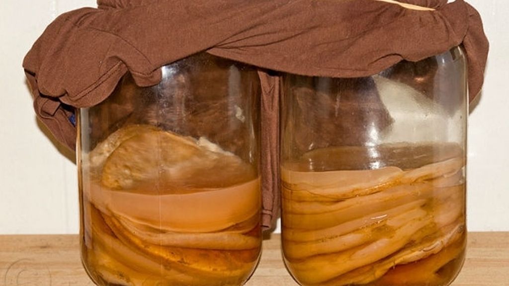 Kombucha, El Elixir de la Inmortalidad