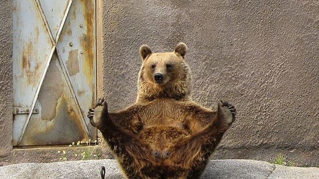 Algunos meditan y se relajan en posturas muy 'zen'