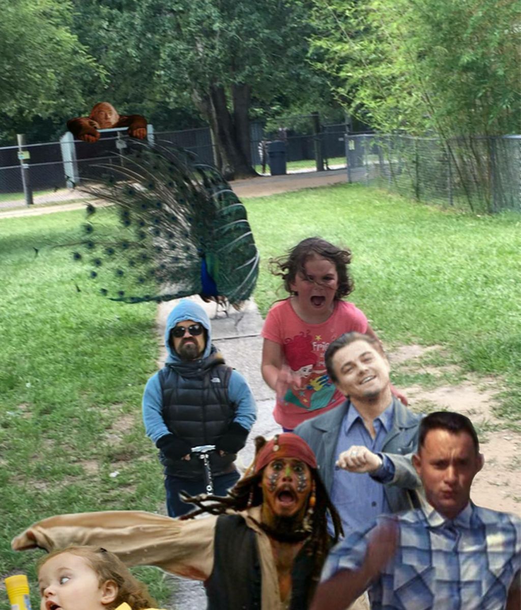 La Red parodia la huida desesperada de una niña ante un pavo real