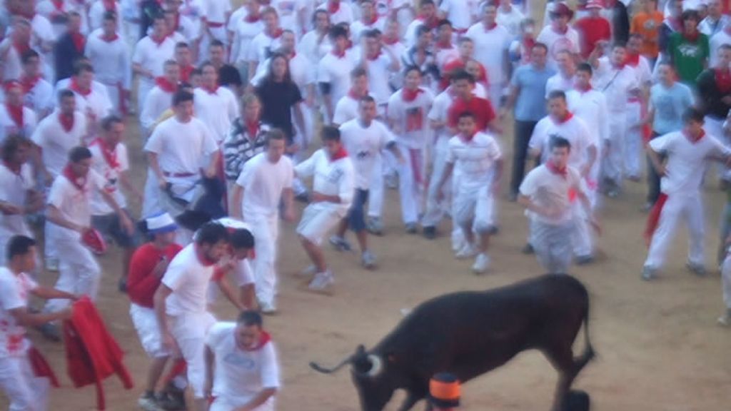 Las vaquillas, protagonistas tras los encierros