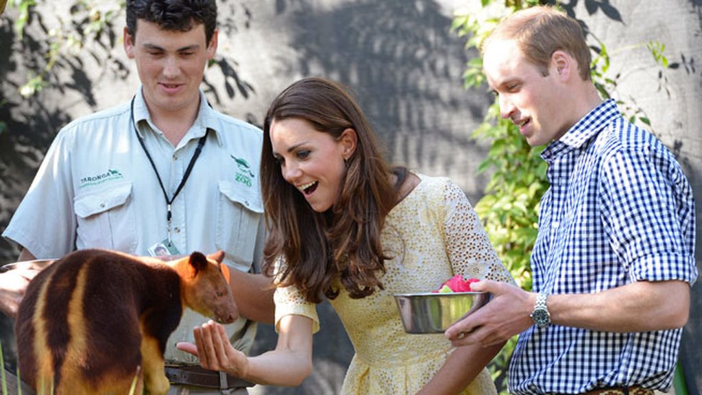 Así lo ha gozado el príncipe George en su primera visita al zoo con sus padres