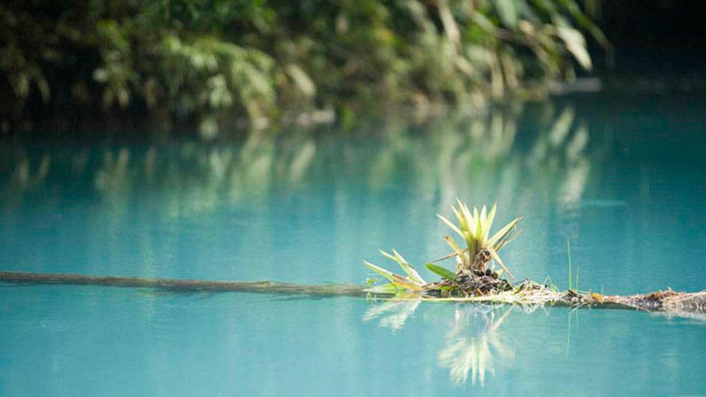 Este río de Costa Rica tiene una sorprendente tonalidad por la ‘dispersión de Mie’