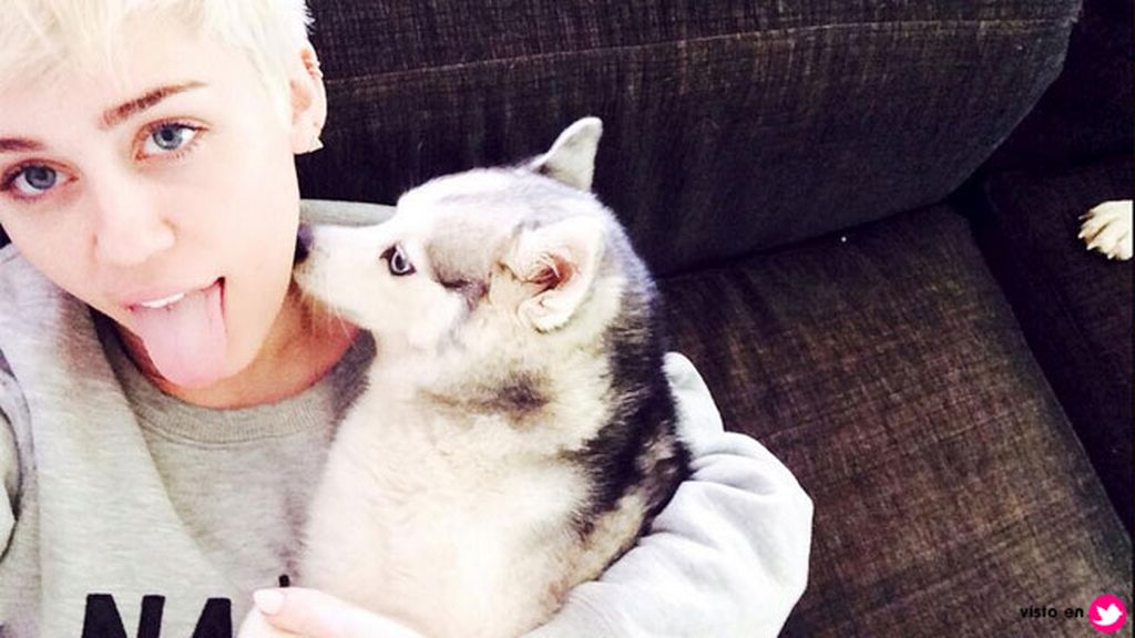 Se compró un Ranger Rover Sport para transportar a sus cinco perros