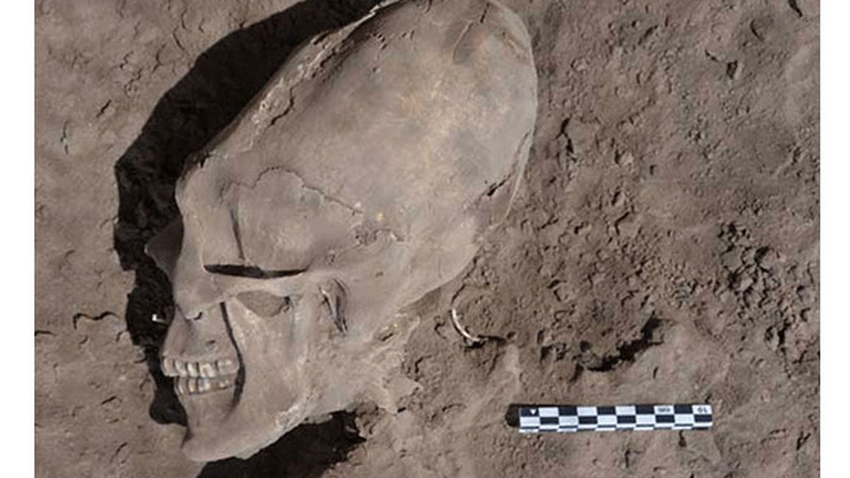 Hallan cráneos humanos con rara forma alargada en México