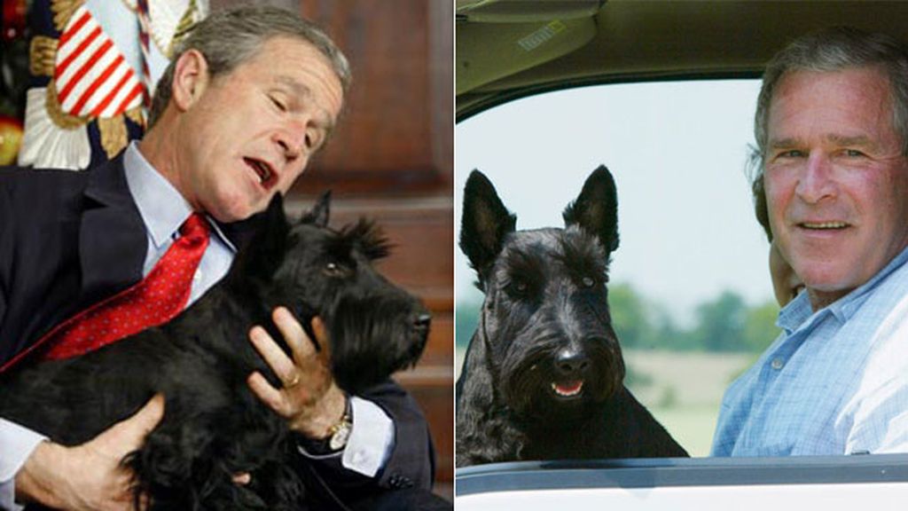 El nuevo perro de los Obama y otros ilustres mejores amigos de políticos y monarcas