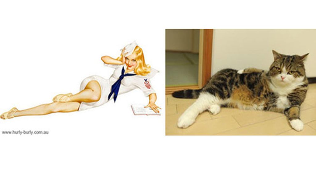 Gatos que parecen chicas 'pin-up'