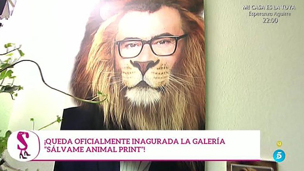 Leones, tigres, pumas, leopardos... La otra cara de los colaboradores