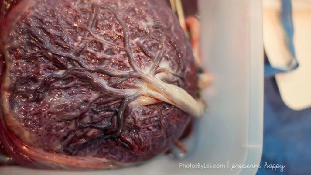 La visión de la fotógrafa Leilani Rogers