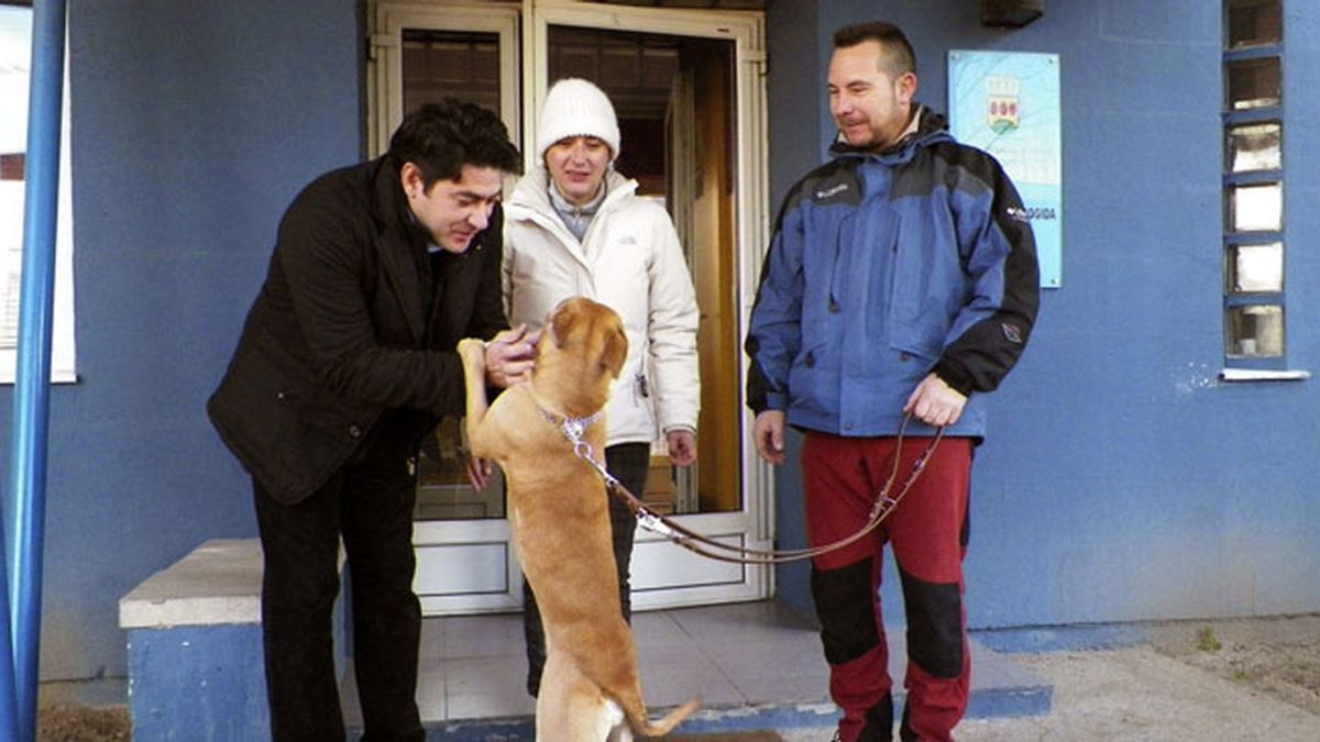 Teresa Romero adopta un perro