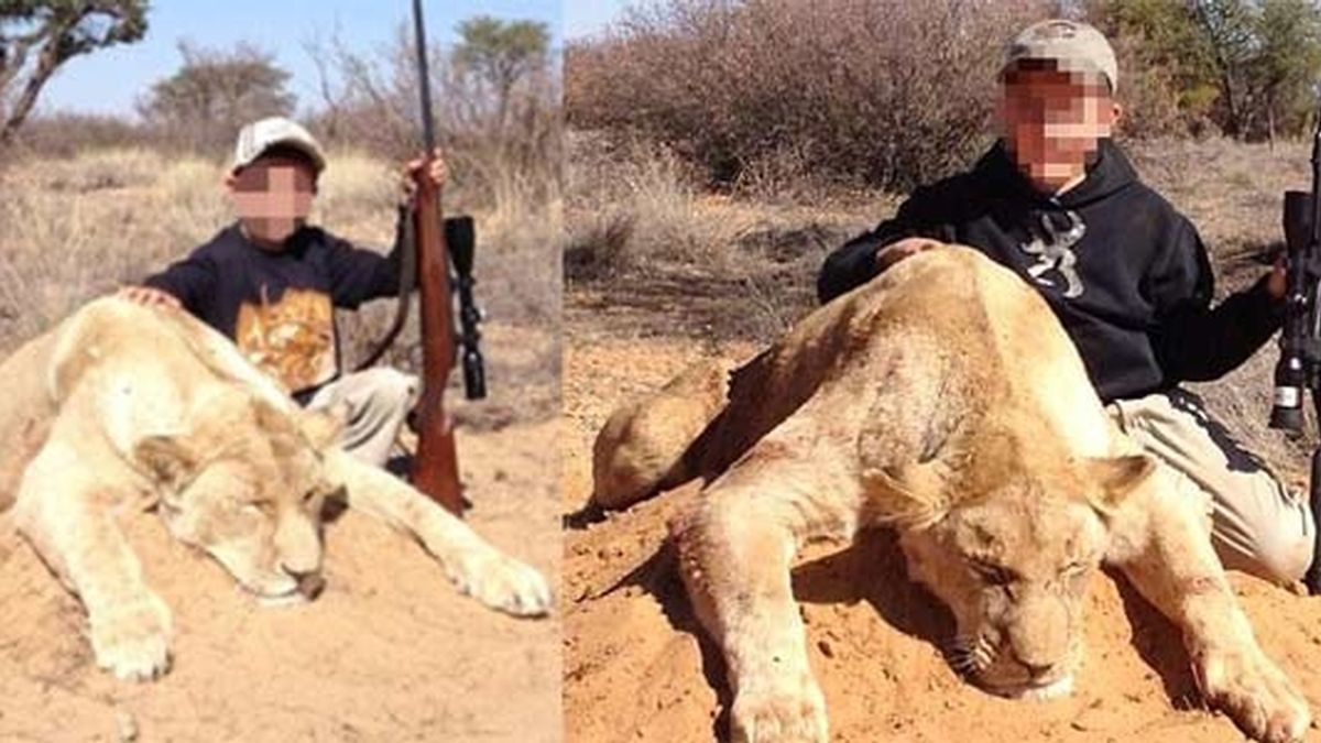 Muestra los leones que cazaron sus hijos de nueve y siete años