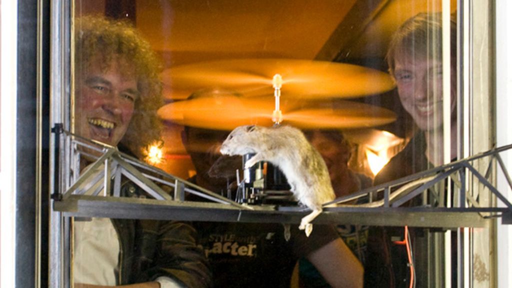 La 'animalista' afición que une taxidermia y drones