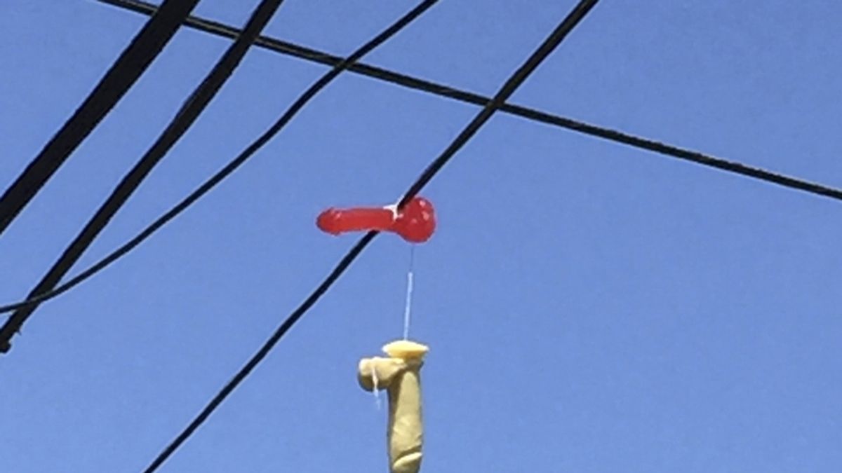 El misterio de los juguetes sexuales colgados en los cables de la luz en Portland