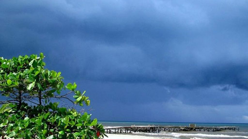 Honduras, por Mario Picazo