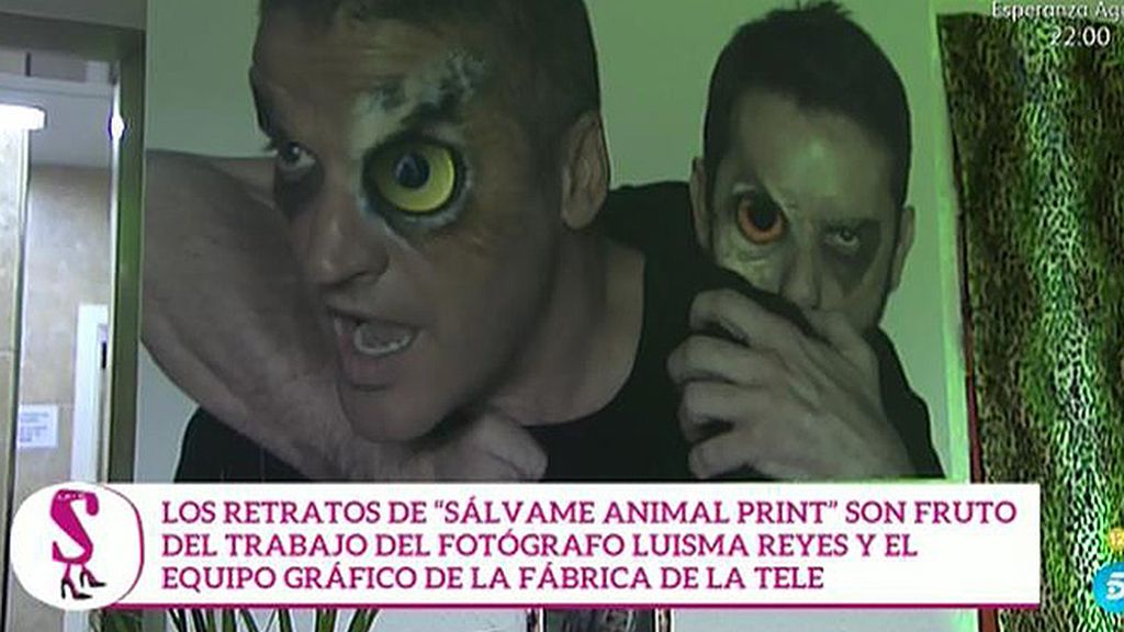 Leones, tigres, pumas, leopardos... La otra cara de los colaboradores