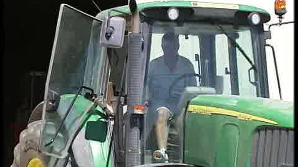 Los incendios en Rusia ponen en peligro la oferta de trigo, también en España