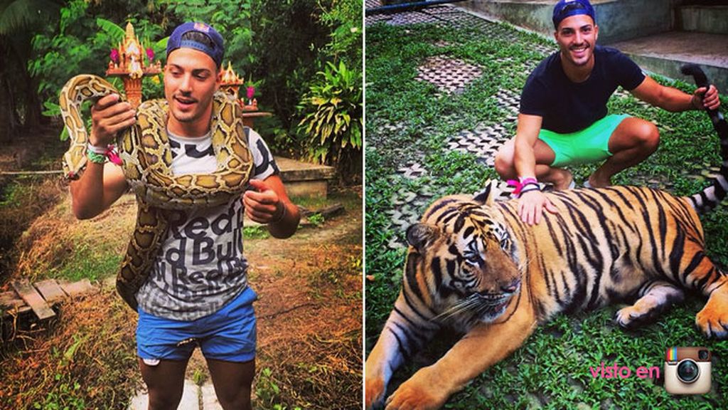 Eric es un gran amante de los animales y su favorito es el tigre