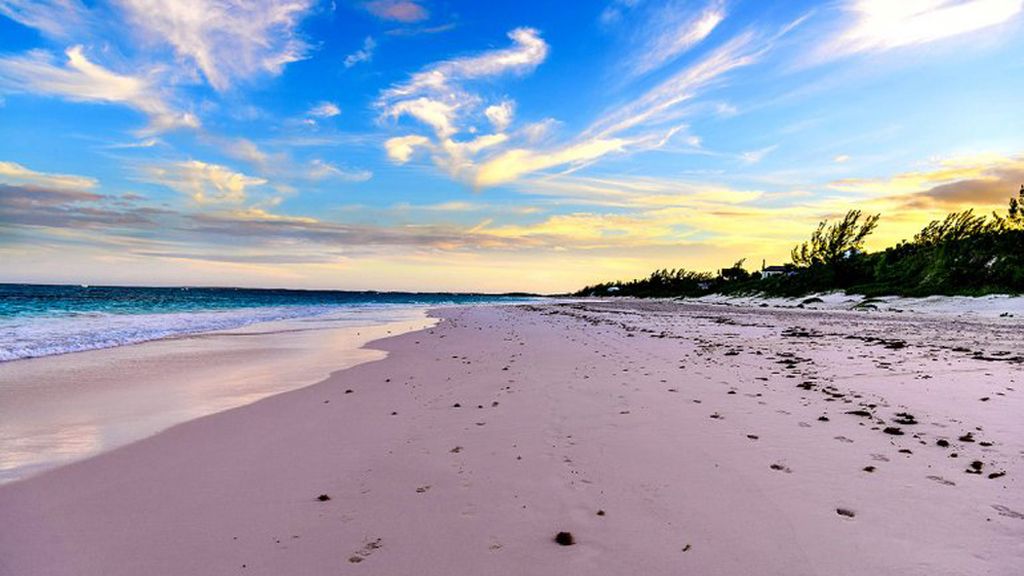 Playa de Pink Sand, Bahamas
