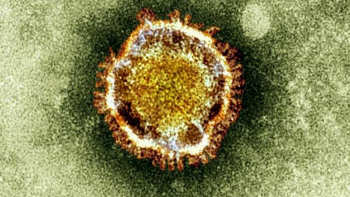 La OMS eleva a 77 los afectados por el nuevo coronavirus