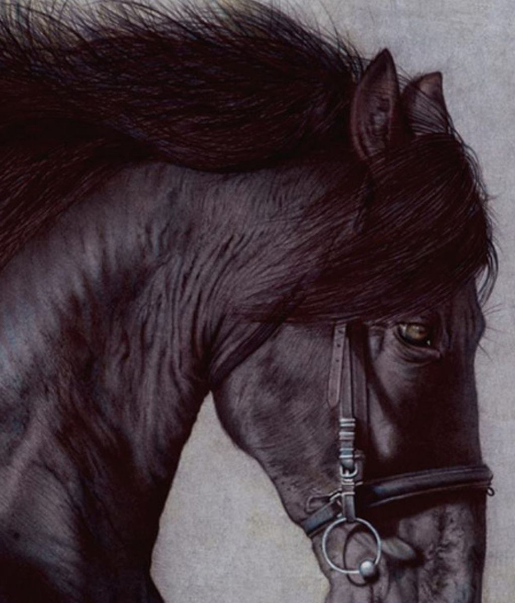 Hiperrealismo a bolígrafo