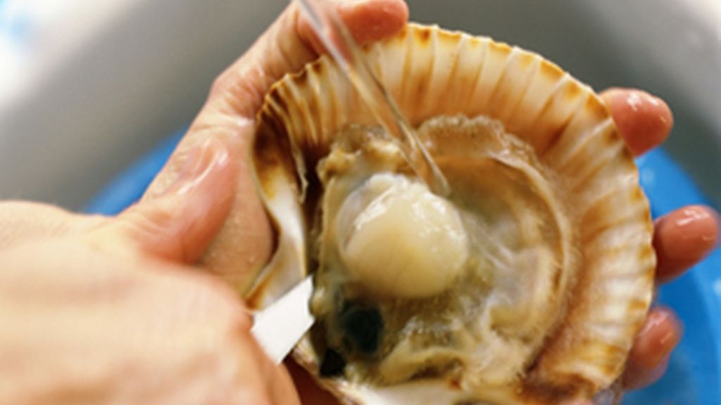 Limpiar bien los alimentos es fundamental