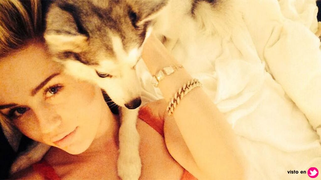 Así era la relación de Miley Cyrus y 'Floyd', el perro que ha revolucionado las redes