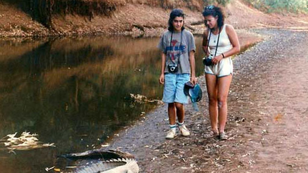 Los otros supervivientes